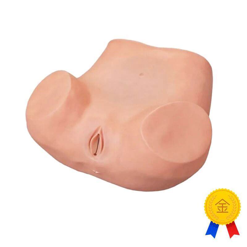 上海妇科训练内诊训练模型妇女检查模型妇婴训练模I型子宫触诊视