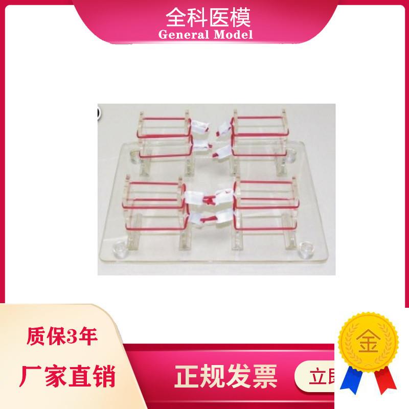 浅表打结技d能训练模型外科打结练习模具GM/LV8-2