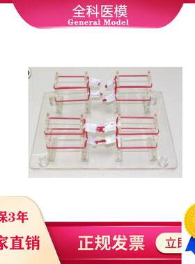 浅表打结技d能训练模型外科打结练习模具GM/LV8-2