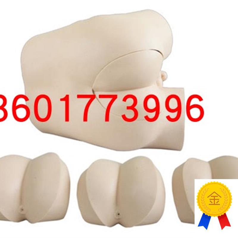 高级直肠指诊检查示教模型直肠G检查模型前列腺触诊模型