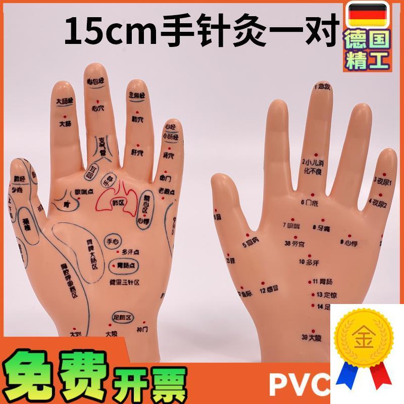 超清晰小儿手部反射区模型t中医推拿针灸教学穴位模型儿童仿真手