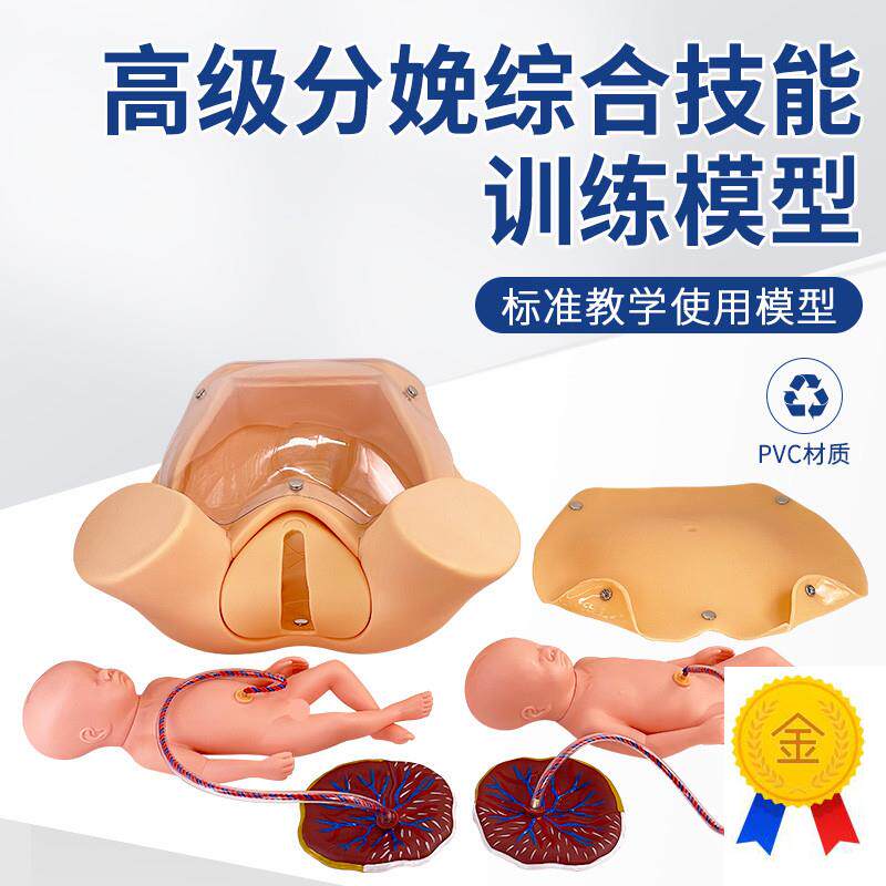 高级分娩综合技j能训练模型分娩教具妇产科助产示教孕妇分娩模型