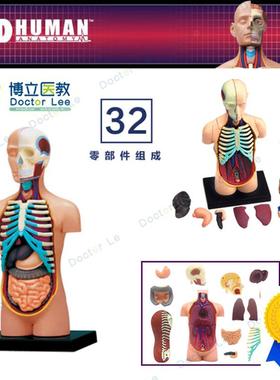 人体器官解剖拼装模型m大脑内脏肌肉骨骼医学教学DIY玩具4DMASTER