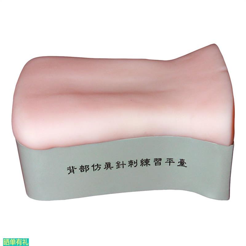 背部仿真针刺练习平台 后背部针灸针刺训练模型 背部扎针练习模型