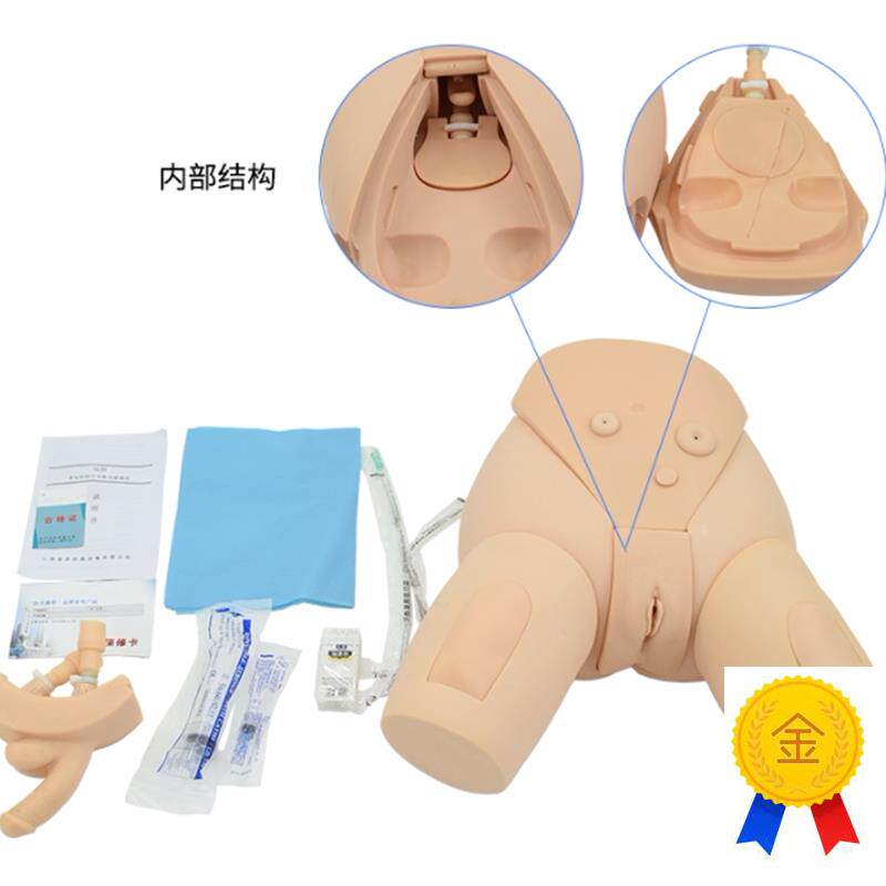 下半身导尿护理模型整体z导尿培训模型男女性导尿模型