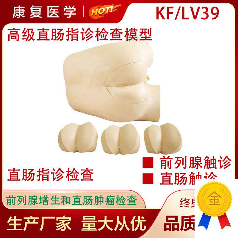 高级直肠指诊检查k模型肛检诊模型肛门指诊检模型医教学用模型