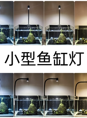 SUN奇彩1瓦USB小型5V鱼缸灯三湖南美原生溪流缸LED射灯造景缸灯