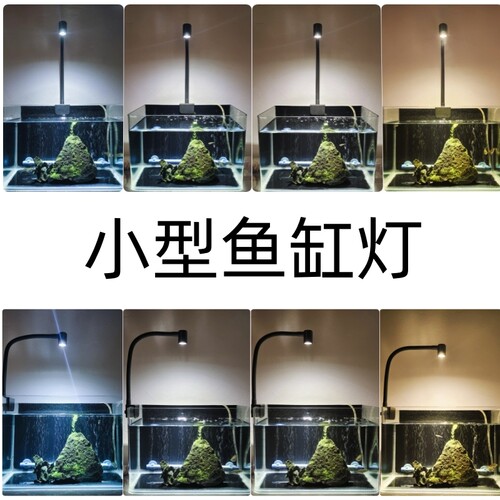 奇彩射灯小型造景灯南美缸原生缸
