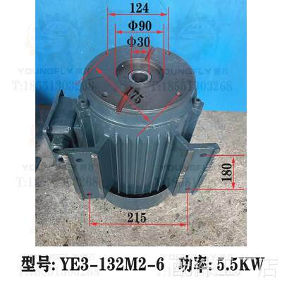 M7130 M710平5面磨床叶片油泵用Y132S-6 YE3-132M2-6卧式油泵电机