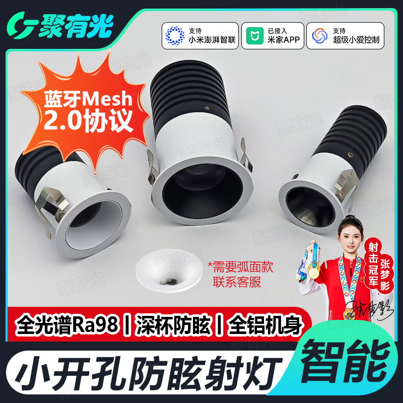 Mesh2.0智能无极调光小开孔射灯