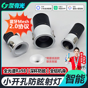 智能调光客厅餐厅led35MM射灯 智能调光小射灯已接入米家APP嵌入式