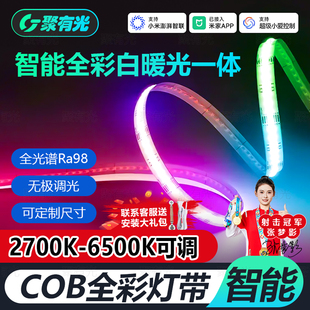 已接入米家APP智能RGBCW七彩无极调光COB灯带线型灯电竞房氛围灯