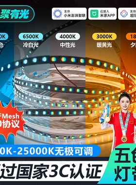 五色智能LED低压灯带已接入米家APP蓝牙Mesh2.0线型灯24V冰蓝灯带
