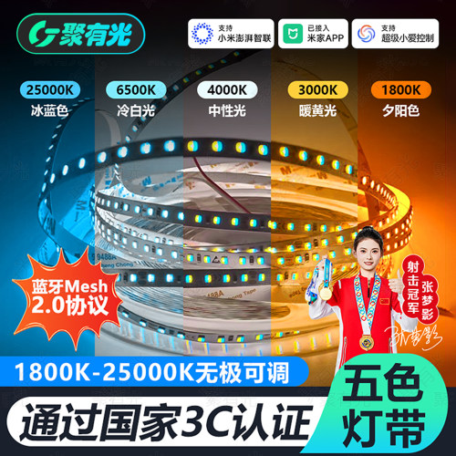 蓝牙Mesh2.0五色智能LED低压灯带