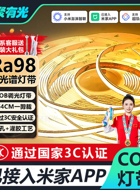 3C认证已接入米家APP全光谱COB灯带智能无极调光24v柔性线性灯带