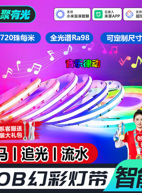 COB智能跑马音乐律动RGB幻彩灯带