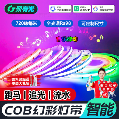 COB智能跑马音乐律动RGB幻彩灯带