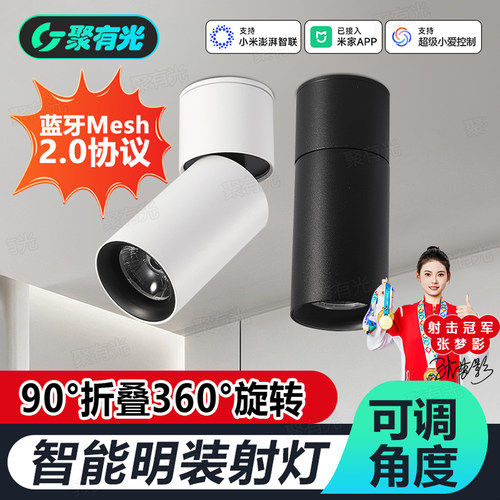 智能Mesh2.0明装射灯可调角度