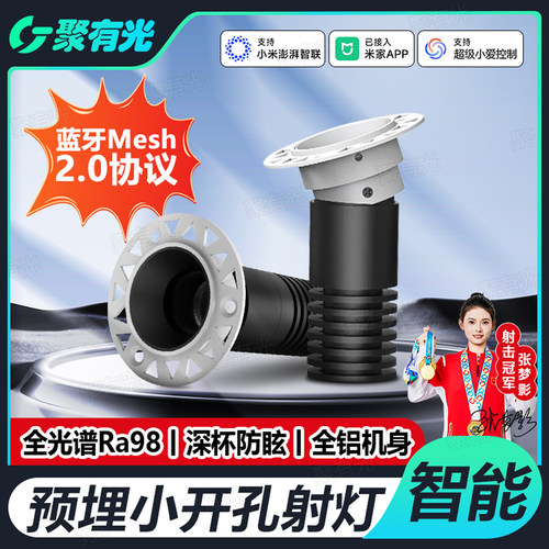 批灰款无边框智能Mesh2.0小射灯
