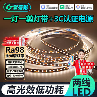 一灯一剪SMD灯带高流明巨省电已接入米家APP全光谱LED智能24V灯带