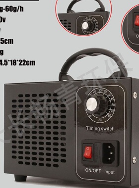 220-110v臭氧发生器消毒除异味10g20g40g60g爆款o3ozone