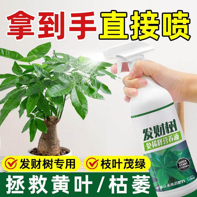 免稀释发财树专用营养液花肥料室内盆栽植物金钱树花卉绿植喷施肥,鲜花速递/花卉仿真/绿植园艺,家庭园艺肥料,淘宝优惠券,粉丝福利购,淘宝优惠卷