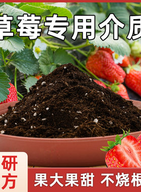 草莓专用土营养土阳台种草莓肥料专用肥盆栽草莓苗土壤泥土种植土