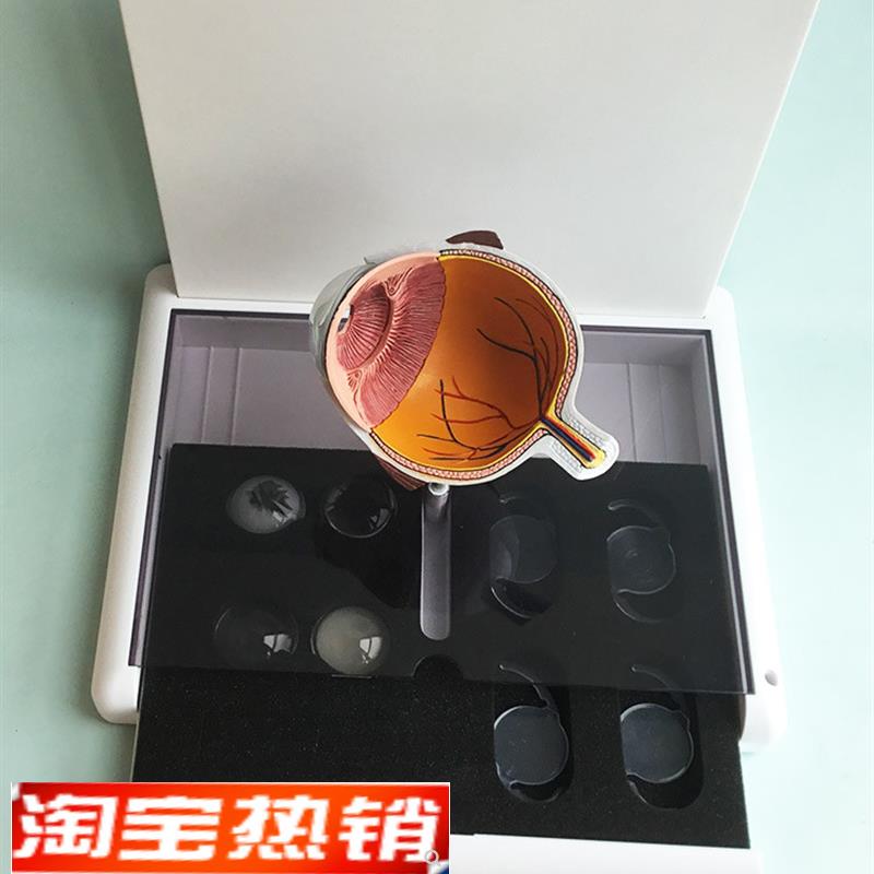 眼睛模型 晶片虹膜器官解剖白内障光学教仪医用医学教学教具