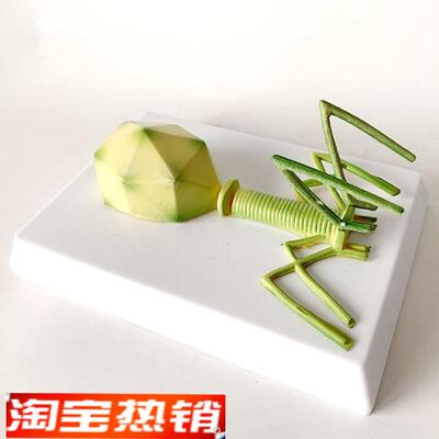 噬菌体模型 感染细菌 真菌 藻类 放线菌 螺旋体 微生物 学校实验