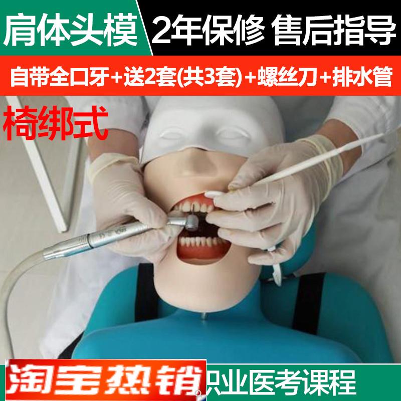 牙科口腔树脂根管种植离体牙模牙备牙练习模型椅绑式肩体仿真头模