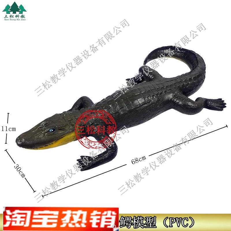 3234仿真扬子鳄模型 珍稀动物模型 生物标本科普教学仪器