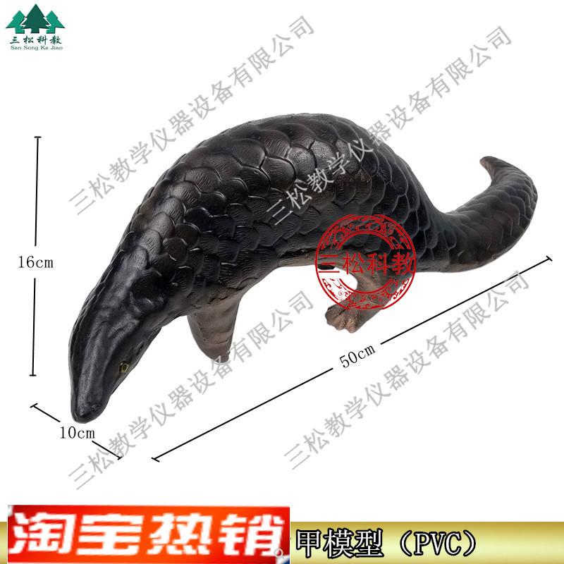 3235仿真穿山甲模型生物教学科教仪器初高中标本动物摆件展示