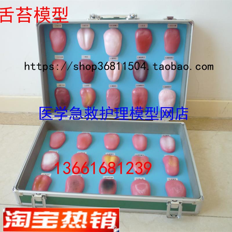 舌苔模型 舌苔病理模型 舌像模型30件/套 舌苔症状对比模型