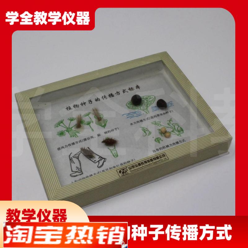 植物种子传播方式标本 小学科学 生物实验器材 教学仪器 教学标本