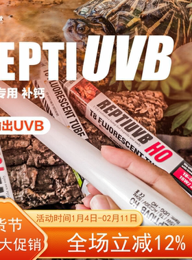REPTIUVB HO专业多肉植物爬虫补钙UVB灯管超越10.0 T815W DH5.0