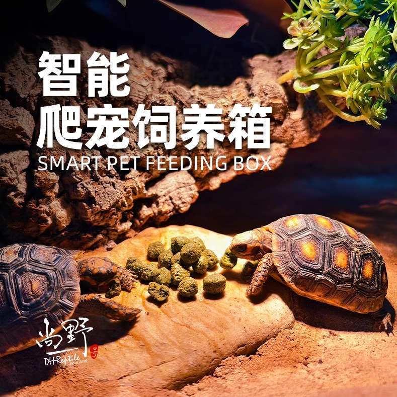 DHREPTILE爬宠饲养箱陆龟红腿