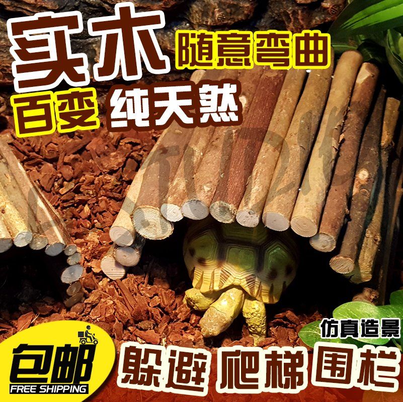 爬蟲陸龜蜥蜴折疊變形躲避