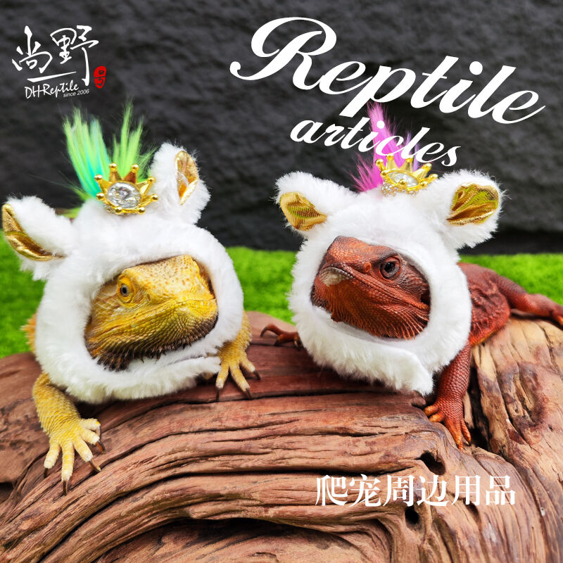 爬虫周边装饰蜥蜴网红小红帽同款线帽鬃狮蜥多色可选宠物用品
