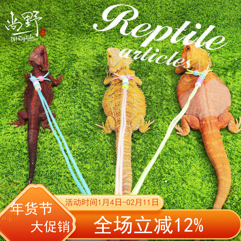 爬宠鬃狮蜥蜴牵引绳安全溜宠防挣脱宠物牵引绳套头套爬宠吊床,宠物/宠物食品及用品,爬宠清洁及日用品,淘宝优惠券,粉丝福利购,淘宝优惠卷