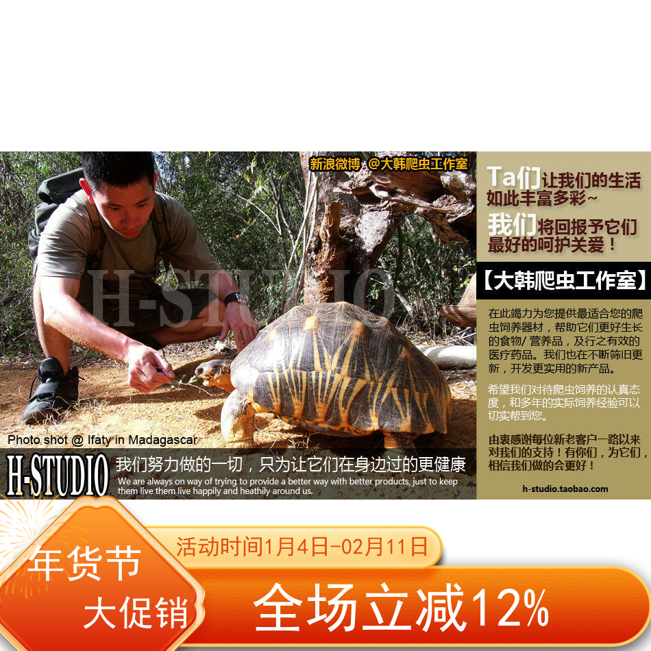 DHREPTILE大韩爬虫尚野宠物补邮费专拍/差价/运费,宠物/宠物食品及用品,爬宠躲避/造景,淘宝优惠券,粉丝福利购,淘宝优惠卷