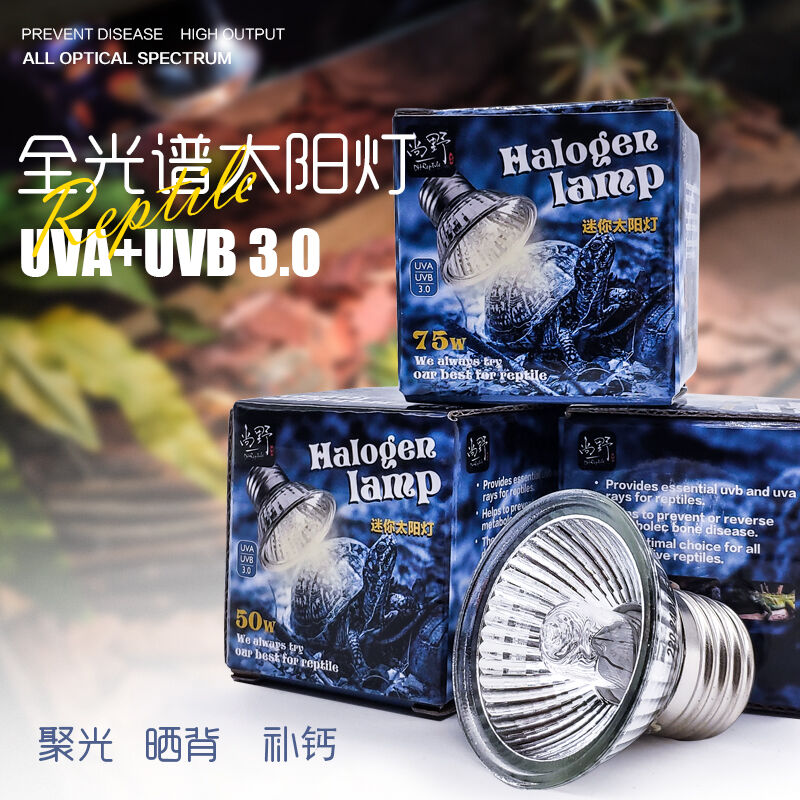 DH爬虫补钙迷你太阳灯包邮质保
