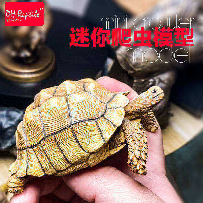 DH陆龟象龟模型树脂亚达安哥洛卡辐射陆龟迷你摆件造景仿真礼物品