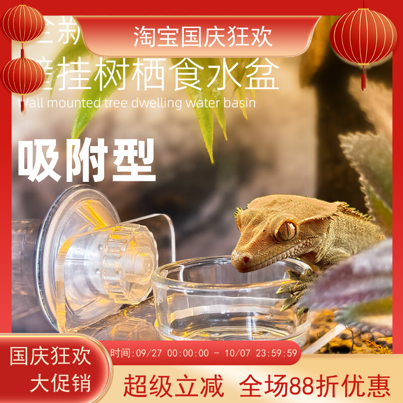 DH睫角守宫R属悬挂式可移动食盆