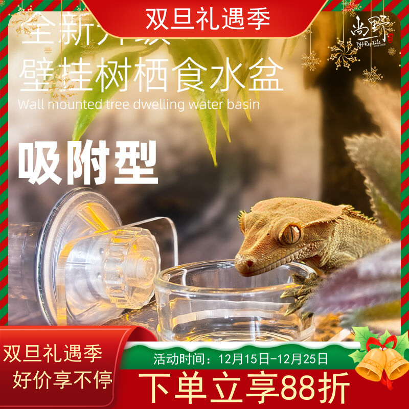 DH睫角守宫R属悬挂式可移动食盆