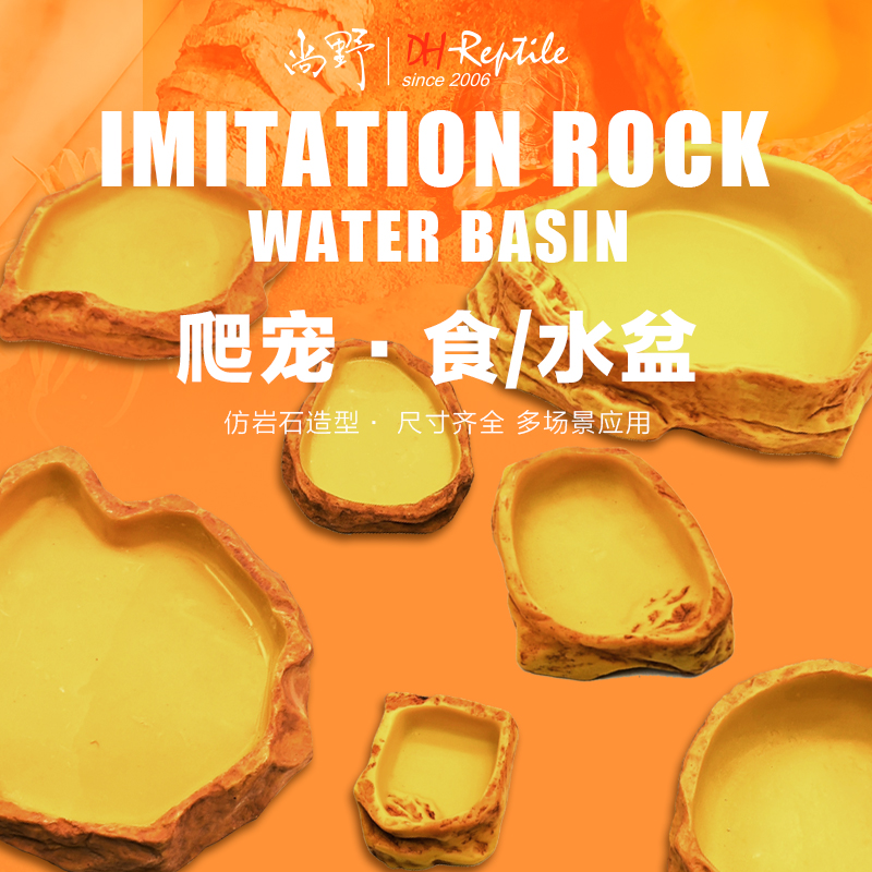 水盆陆龟蜥蜴守宫爬虫DHREPTILE
