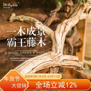 霸王藤木热带雨林爬宠造景素材藤条藤蔓爬虫箱宠物蜥蜴蛇箱景观