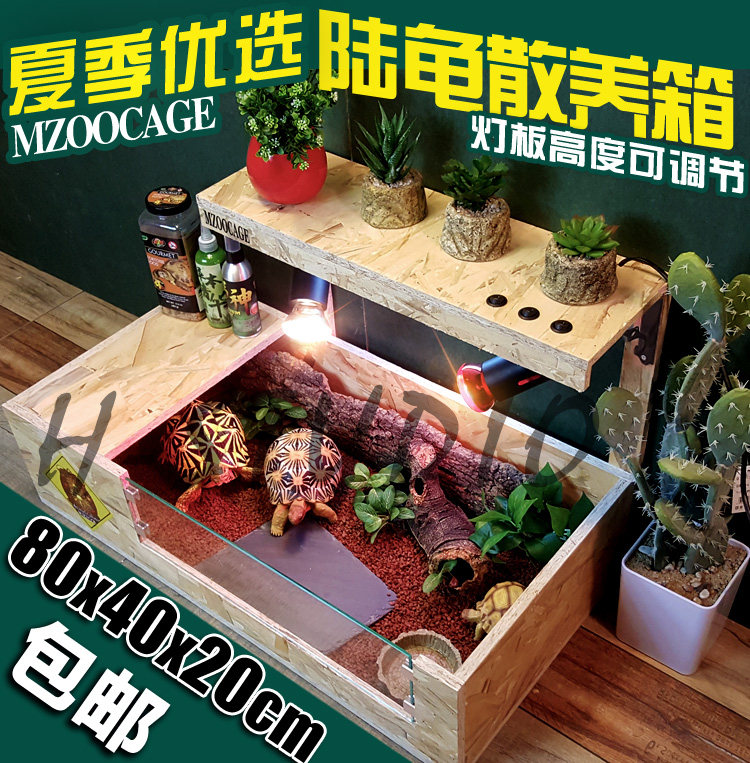 包邮osb爬虫宠物陆龟敞开式散养