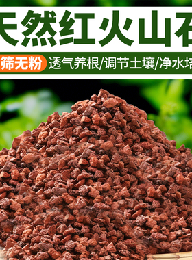火山石颗粒养兰花蝴蝶兰多肉专用营养土透气防烂根调节园艺鱼缸底