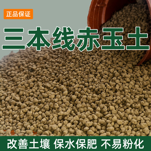 日本三本线赤玉土多肉盆景通用