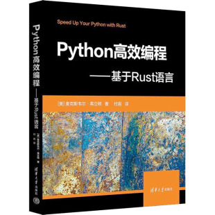 程序设计 图书籍 麦克斯韦尔·弗立顿 新华书店正版 专业科技 新 译 付岩 著 美 Python高效编程——基于Rust语言
